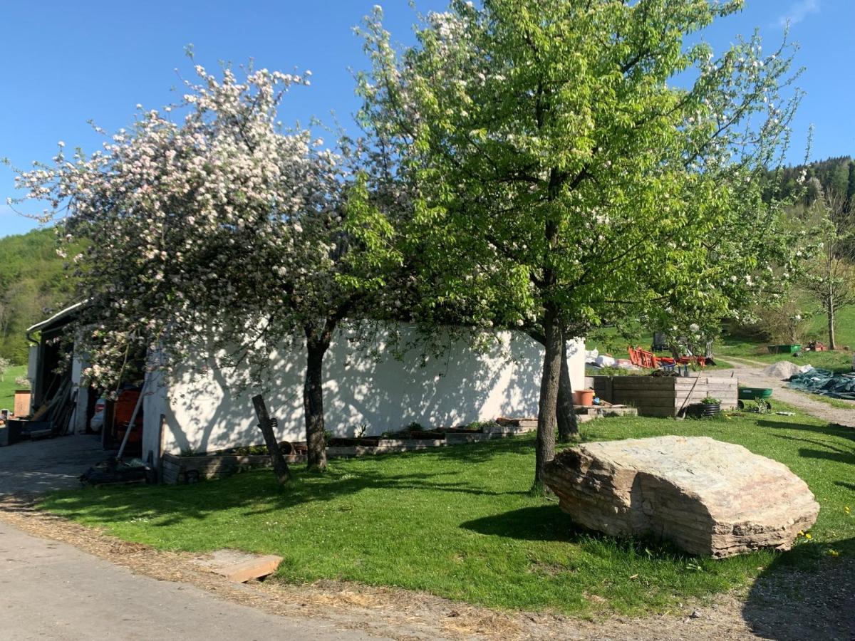 Ferienwohnung Waldkoehlerei Michelbach Exterior foto